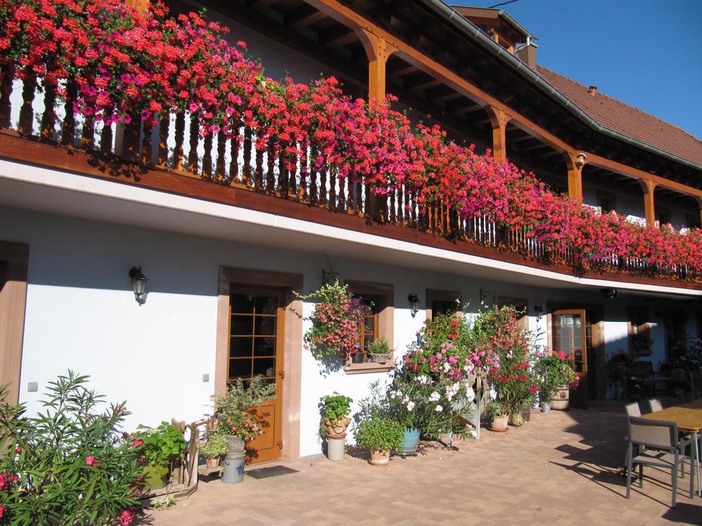 مبيت وإفطار Hohengoeft La Ferme De Louise المظهر الخارجي الصورة
